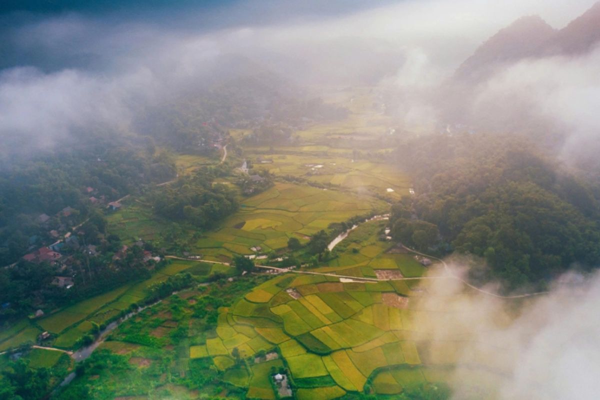 Golden rice terraces in Pu Luong during autumn